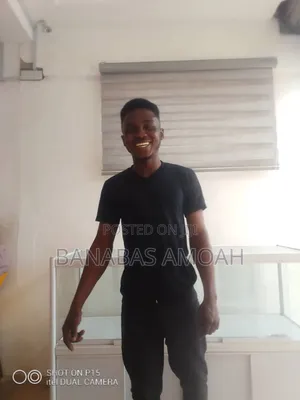 Apartment Cleaners