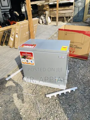 Long Lasting Zara 300FL 1 Door Electric Freezer(Gray).