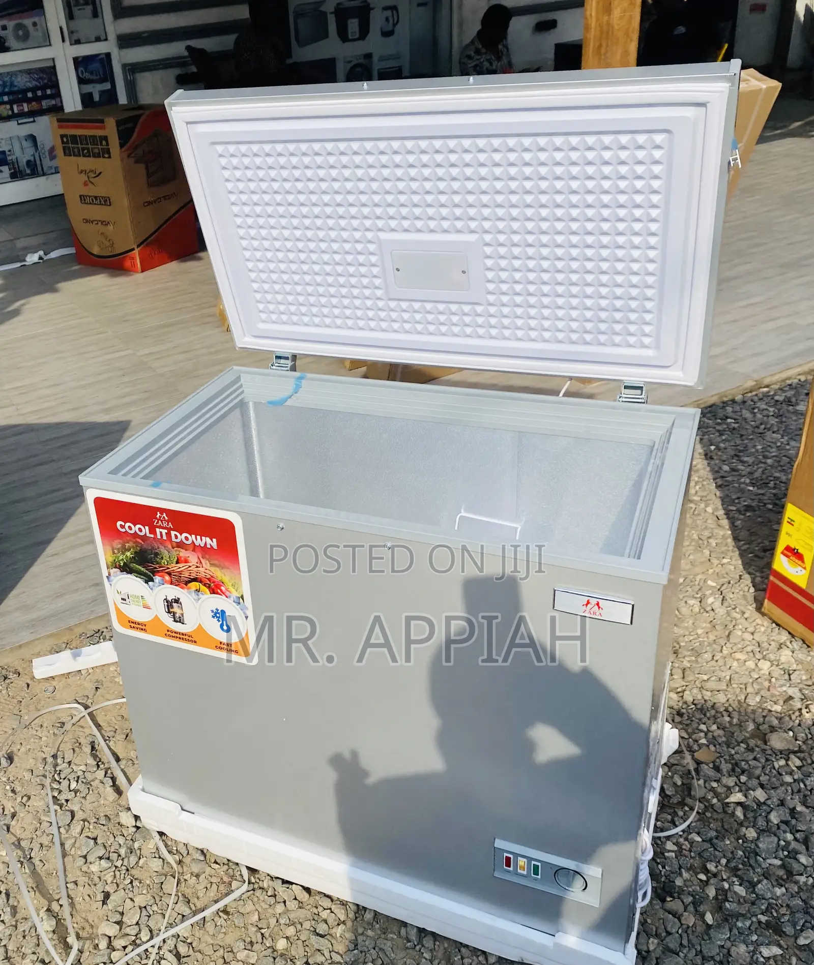 Well Design Zara 300FL 1 Door Electric Freezer(Gray).