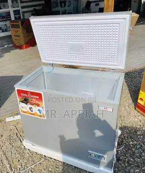 Well Design Zara 300FL 1 Door Electric Freezer(Gray).