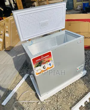 Reliable Zara 300FL Single Door Chest Freezer(Gray).