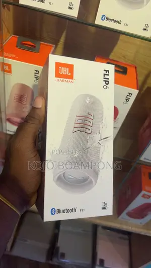 JBL Flip 6
