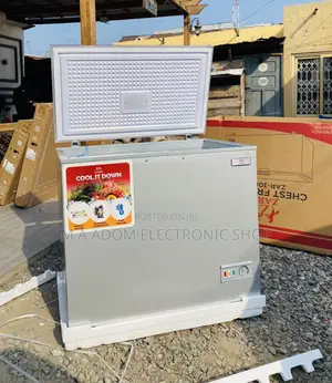 Affordable Zara 300FL Single Door Electric Freezer.