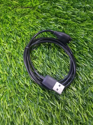 Garmin Charger