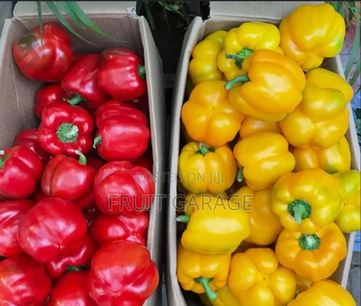 Bell Peppers