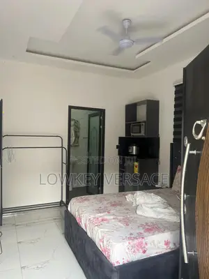 Furnished Studio Apartment + Gen+Starlink Internet+ DSTV