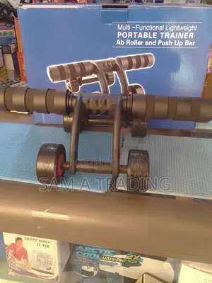 Ab Roller and Push Up Bar