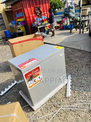 Budget-Friendly Zara 300FL 1 Door Electric Chest Freezer.