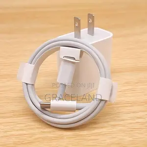 This Is Original Pure iPhone Charger Type-C 20 Watts