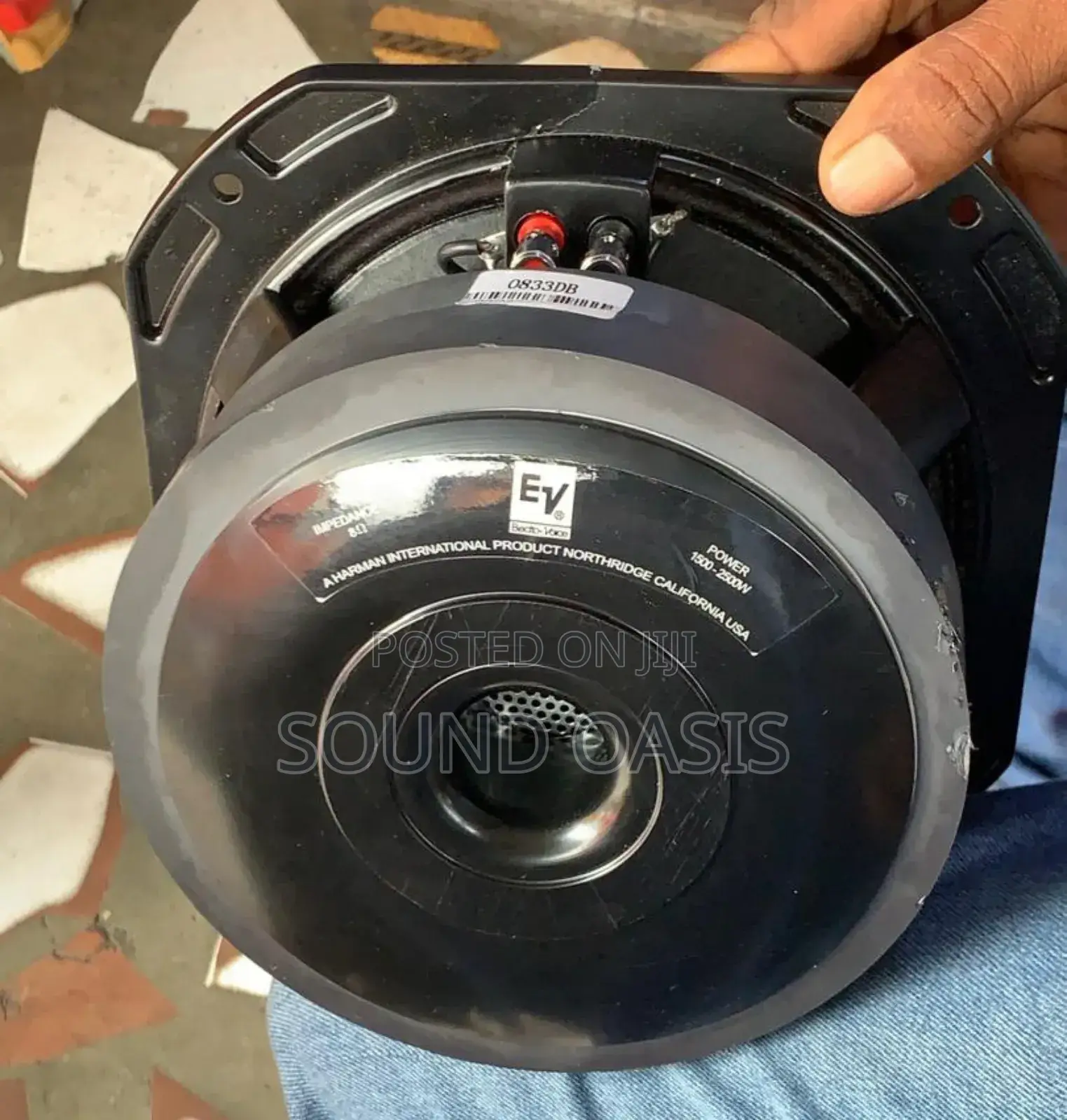 EV 8inches Double Magnet Naked Speaker