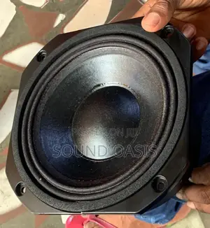 EV 8inches Double Magnet Naked Speaker