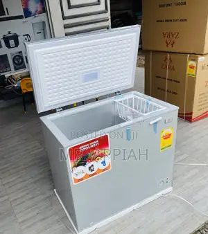 Reliable Zara -260s Single Door Chest Freezer(Gray).