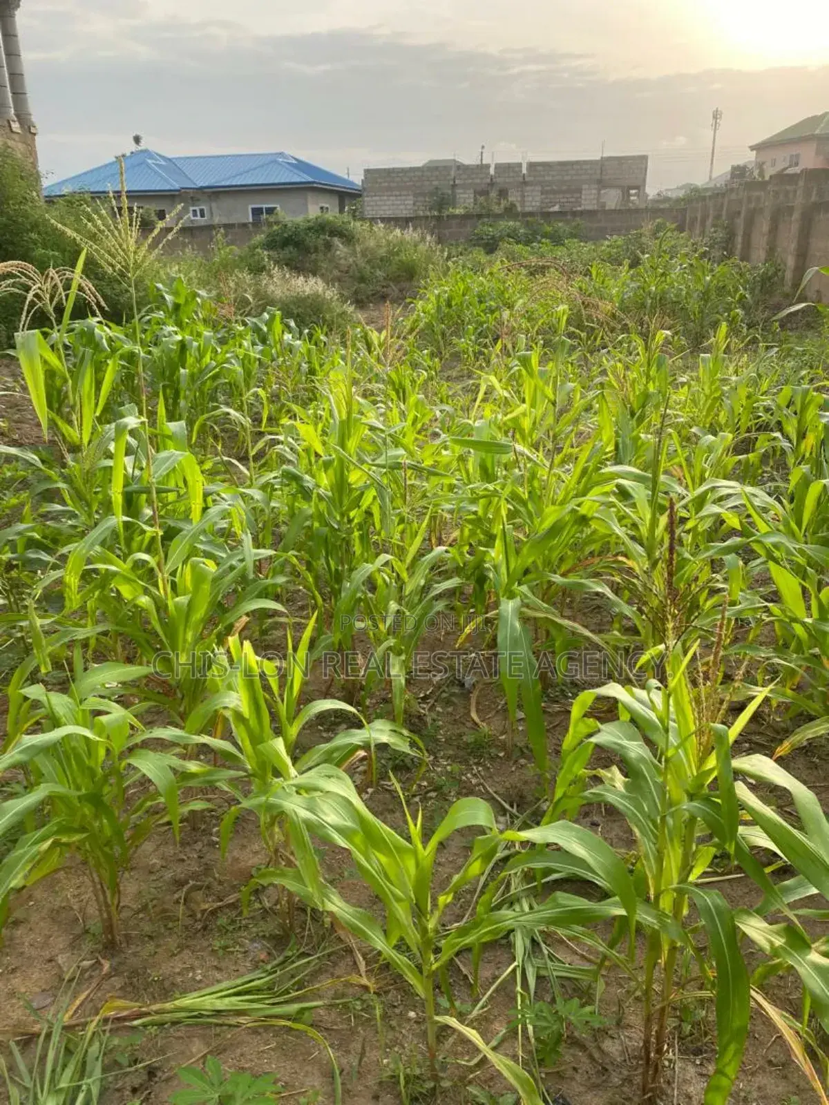 8bdrm Duplex in Lamptey Mills Obom for sale