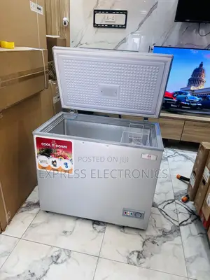 Friendly Budget on Chest Freezer Single Door Zara 300s 228l