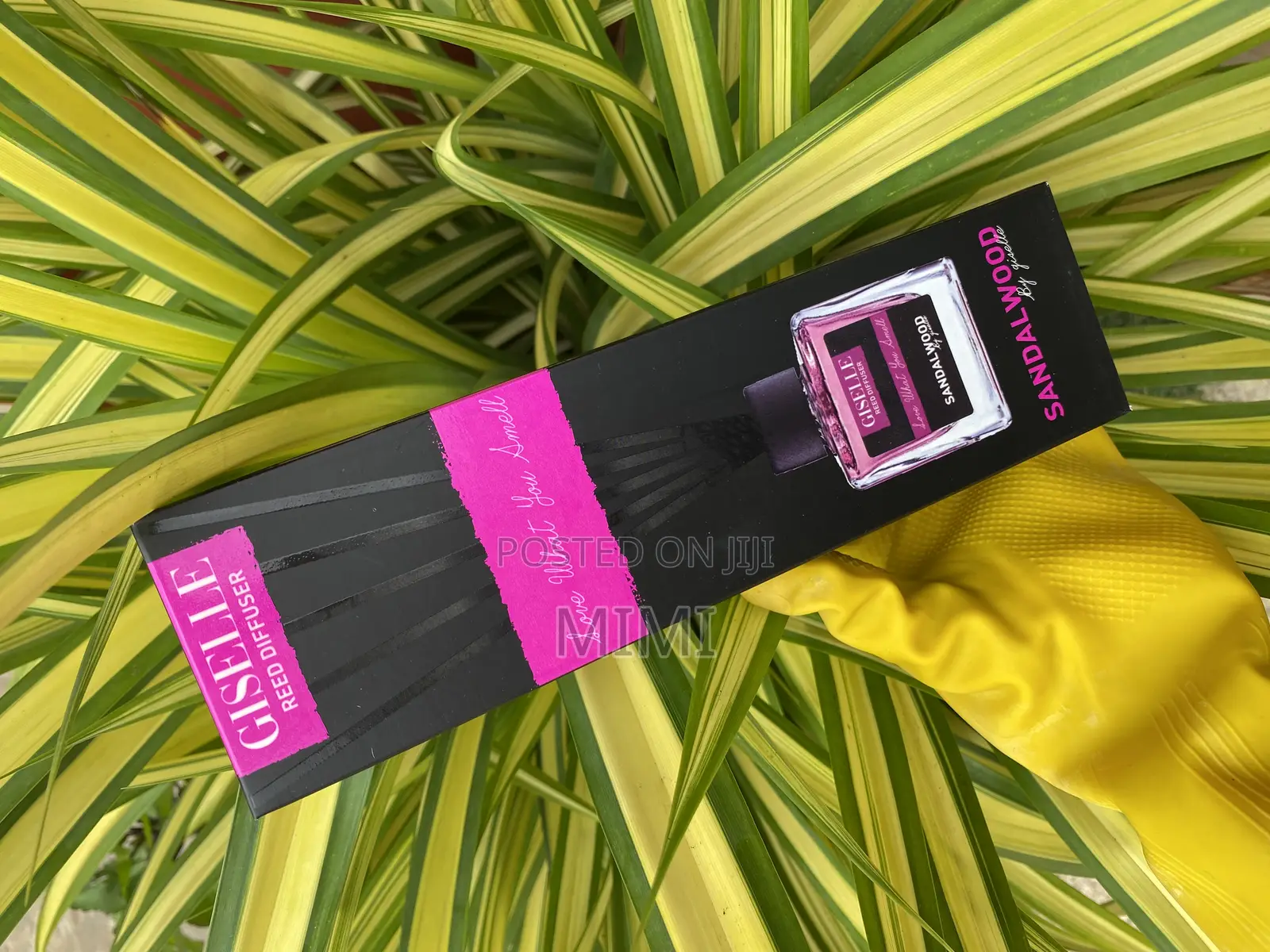 Giselle Reed Diffusers