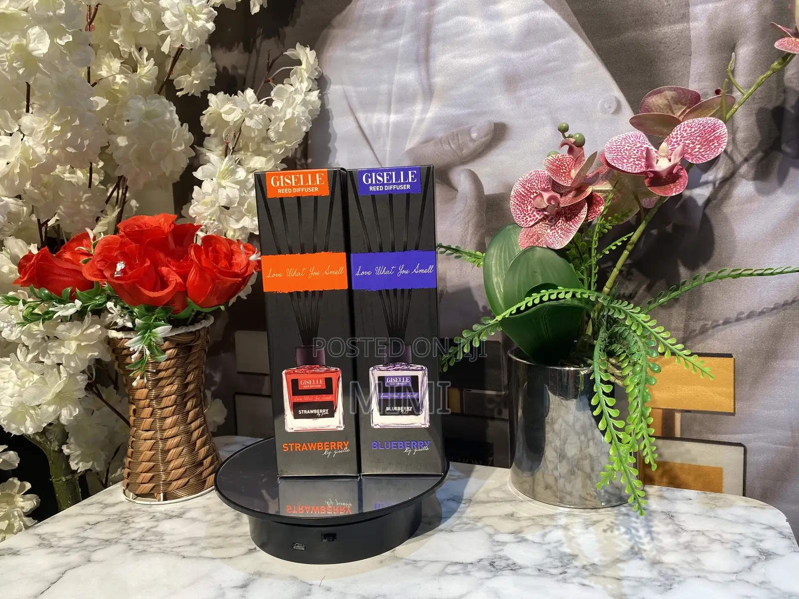 Giselle Reed Diffusers