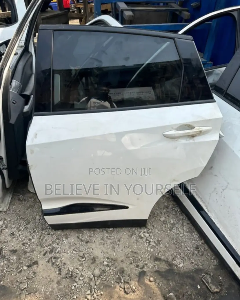 Acura RDX - 2019,2020,2021,2022,2023,2024,2025 Back Door Left