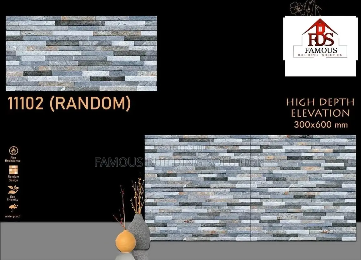 Facial/Wall Tiles (30/60)