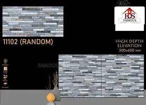 Facial/Wall Tiles (30/60)