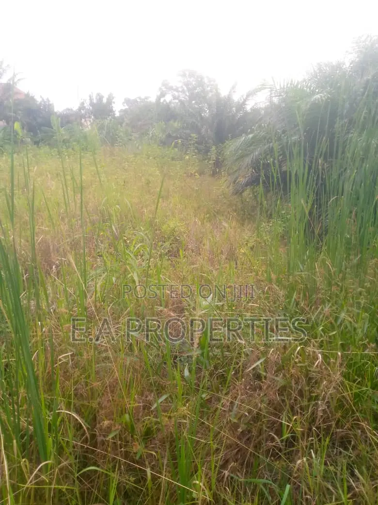 At Ampomah in Frafraha Land & Plots for Sale, Enoch Amponsah Jiji