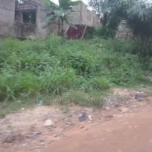Half Plot for Sale at Kansa City