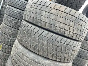 Homeused 285/70r19.5