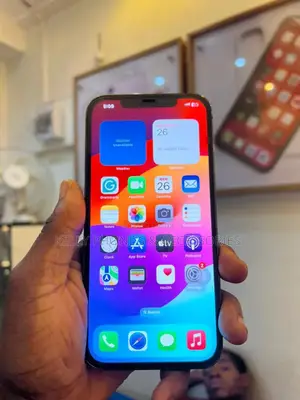 Apple iPhone 13 Pro Max 512 GB Black