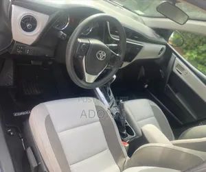 Executive Car Rentals Services