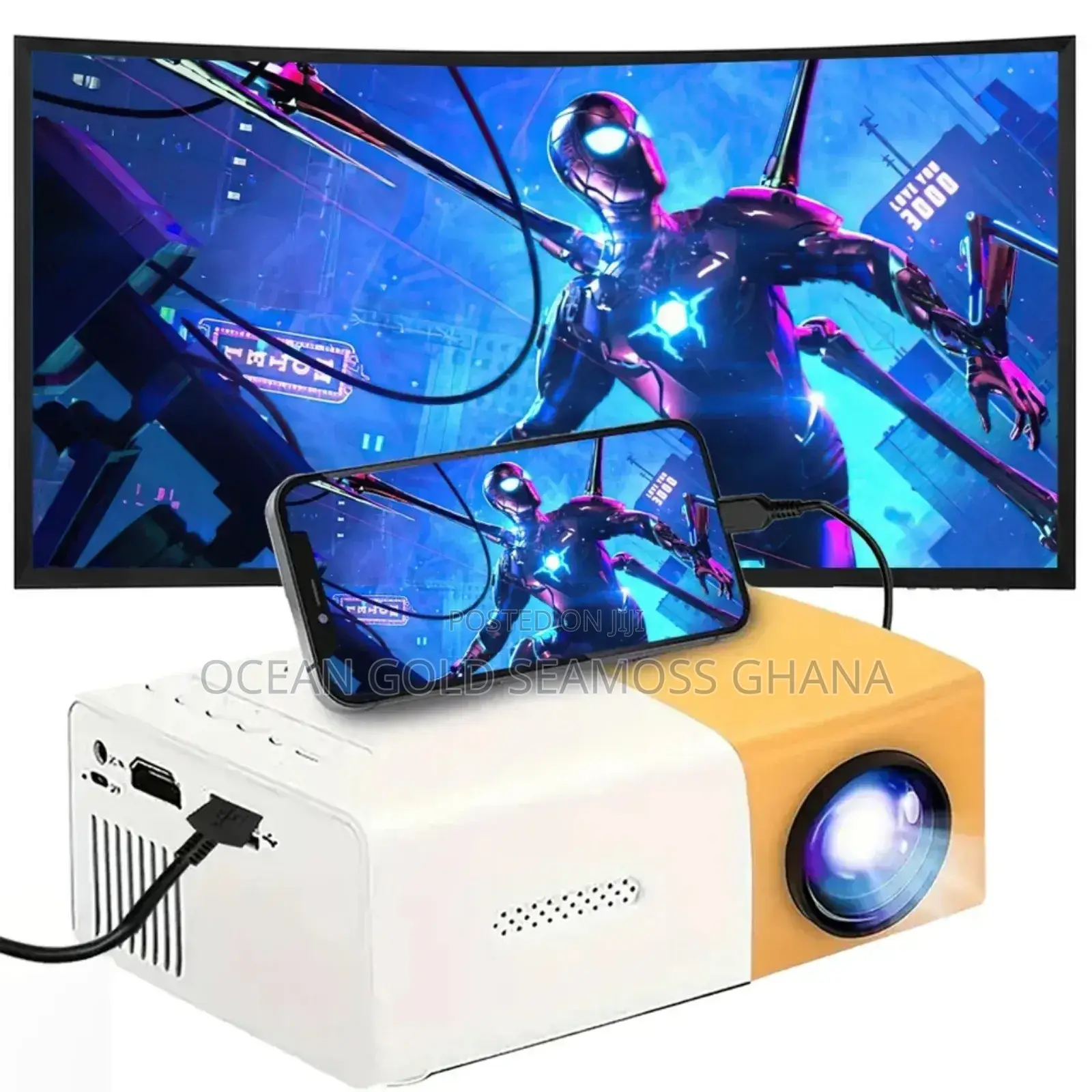 Mini Projector