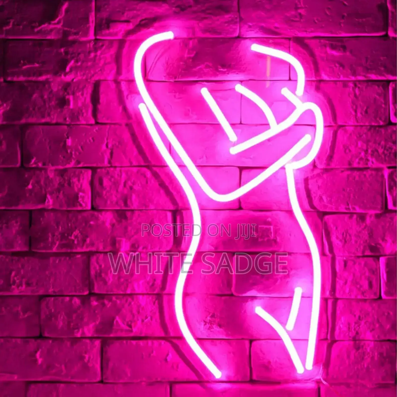Decorative Neon Rope Light