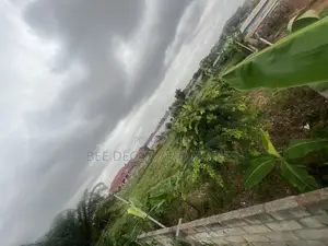 Two Plots of Land for Sale