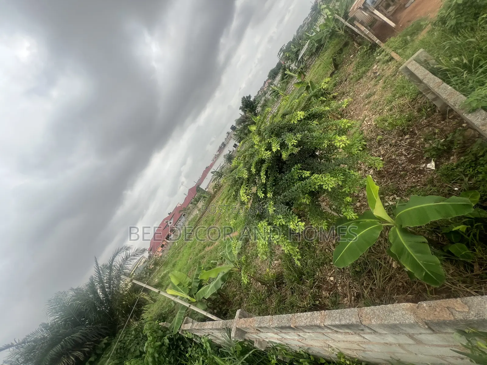 Two Plots of Land for Sale