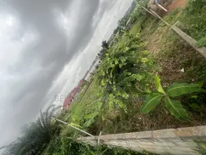 Two Plots of Land for Sale