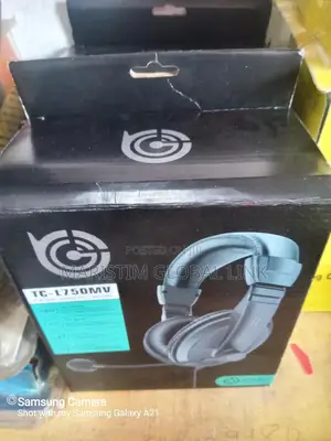 Headset With Mic