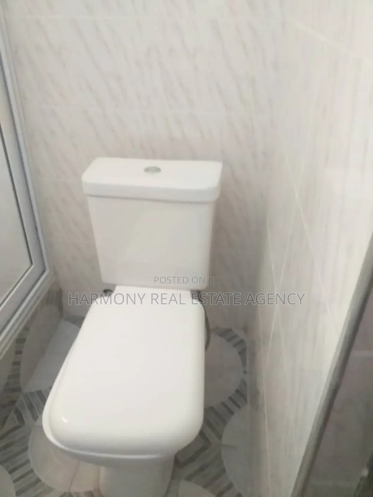2bdrm Apartment in Dzorwulu for rent
