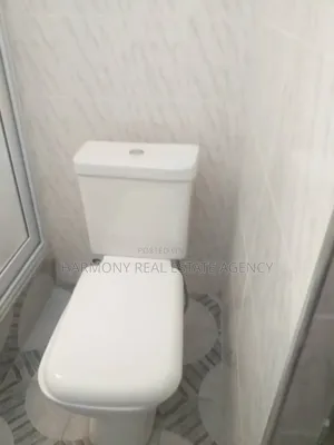 2bdrm Apartment in Dzorwulu for rent