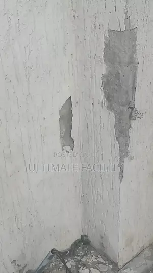 Damp Treatment in Building and Concrete Walls