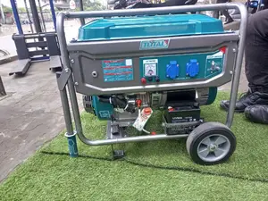 Total Generator Affordable Housing Genset 13000watts