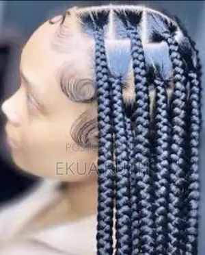 Knotless Braid Rasta Home Service