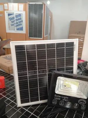 Solar Flood Light (100w)