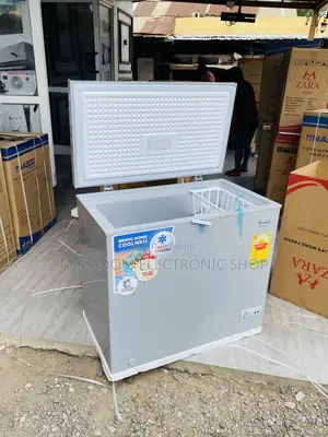 Purchase Quality Nasco Nas210 1 Door Electric Freezer(200L).