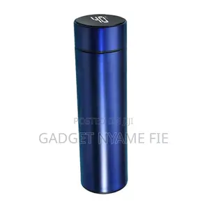 Stainless Steel Smart LED Temperature Display Flask
