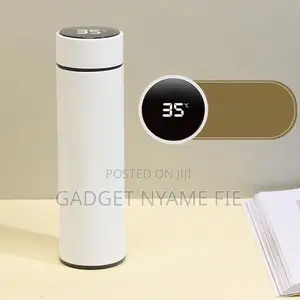 Stainless Steel Smart LED Temperature Display Flask