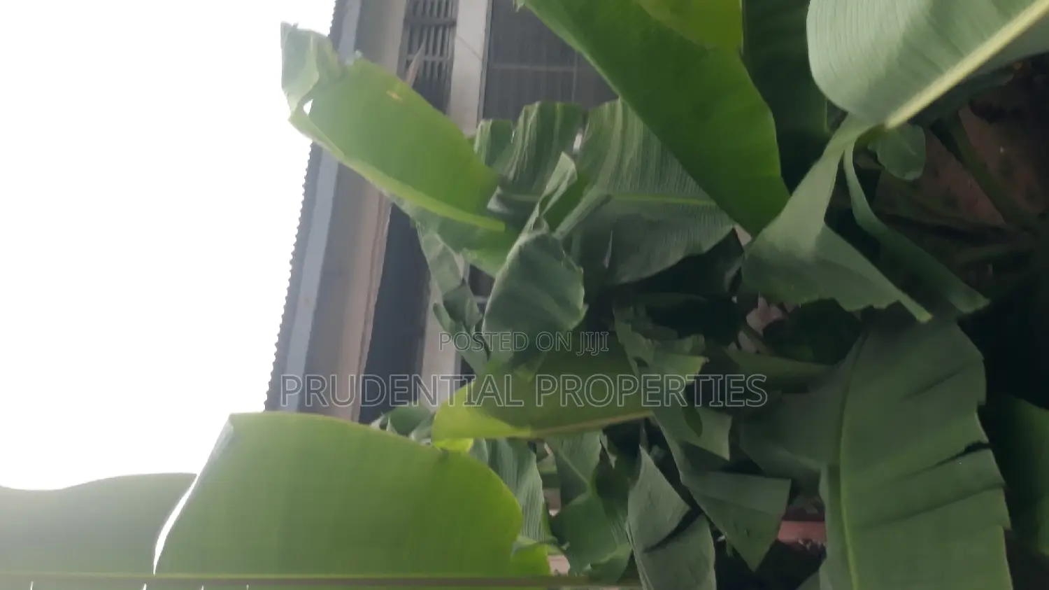 2 Plots of Land for Sale at Kaneshie