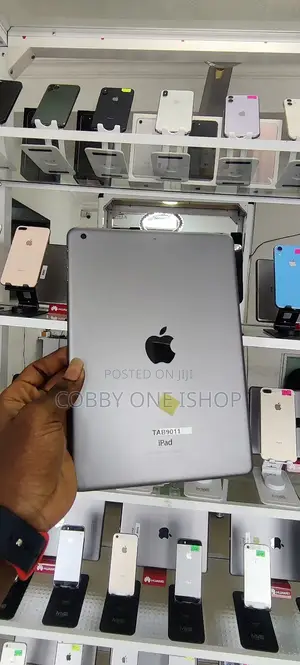 Apple iPad Air 16 GB Gray