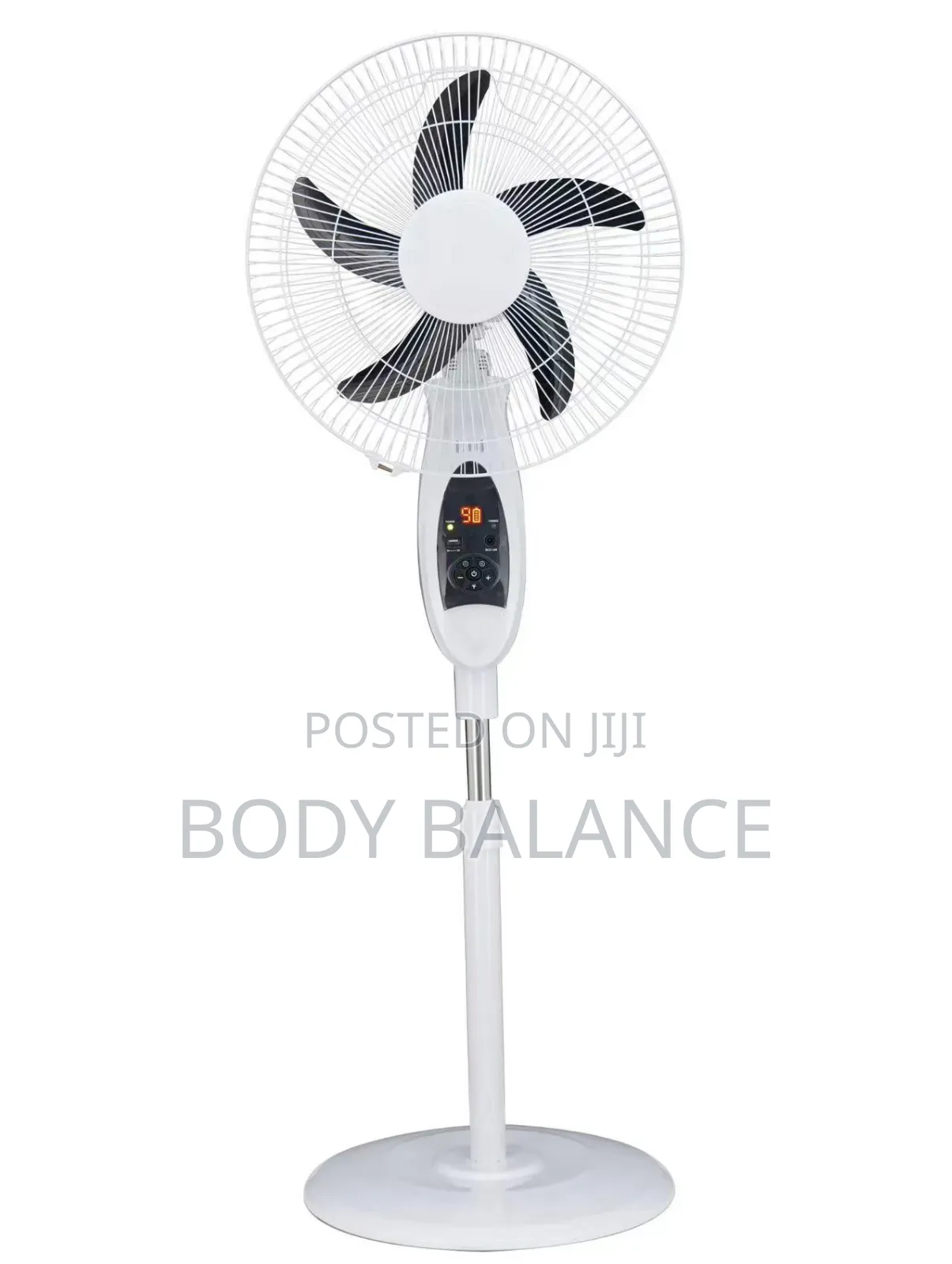 Rechargeable Fan
