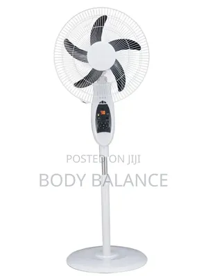 Rechargeable Fan