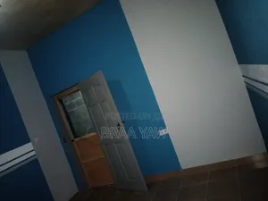 Interior Painting Designs