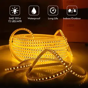 Outdoor/Indoor Warm Rope Light 50meters