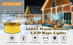 Outdoor/Indoor Warm Rope Light 50meters